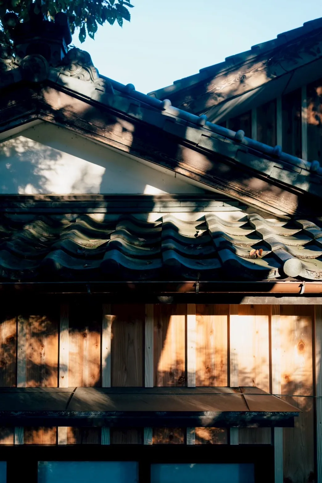 木壁に映る光と影