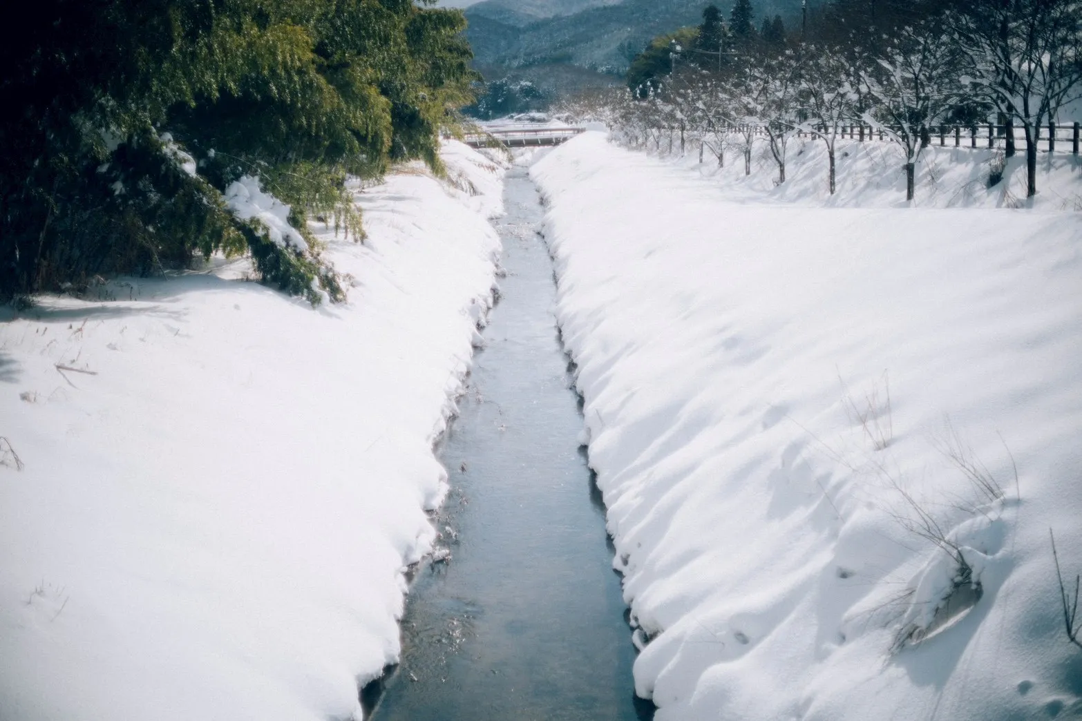 雪景色の小川